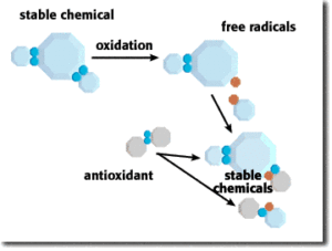 antioxidants